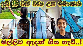 අඩි 10 ටත් වඩා උස මොණරා මල්ලිව ඇදන් ගිය හැටි..! /Smart Creations