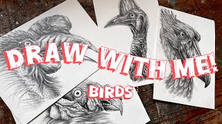 Drawing birds in graphite! Draw with me