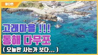 [다리tv] 동해 고래마을 다무포 ☆ 여행! 캠핑! 낚시! 포인트 ☆ (South Korean Port Drone Video!!!)