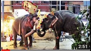 ELEPHANT ATTACK IN KERALA'S TEMPLE