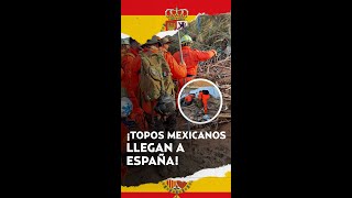 ¡Con palas y determinación! Así los Topos Azteca buscan a víctimas de la DANA en España