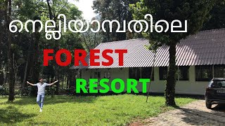 Nelliyampathy jungle stay | പാവങ്ങളുടെ ഊട്ടി (നെല്ലിയാമ്പതി )ലെ ഒരു forest resort