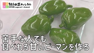 苦手な人でも食べれる甘いピーマンを作る【飴細工】