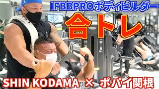 【SHIN KODAMA×ポパイ関根】IFBBPROボディビルダーの合トレ！