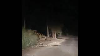 Haunted Road In The Woods