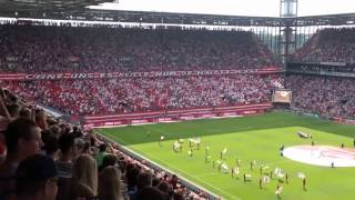 Choreos 1.FC Köln – 1.FC Köln vs VfL Wolfsburg – 22-08-2015