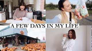 VLOG: chopping my hair, apple picking, studying