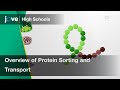 Overview of Protein Sorting and Transport | Cell Bio | Video Textbooks - Preview