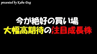 【今が絶好の買い場】株価大幅高が期待できる売られすぎの過去最高業績更新の成長株