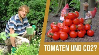 Johann fragt nach(haltig): Tomaten und CO2?