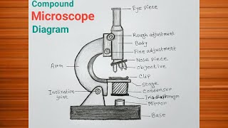Compound Microscope Drawing / How to Draw Microscope Easily / Microscope Diagram
