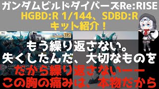 【ガンプラ】ガンダムビルドダイバーズRe:RISEのHGBD:RとSDBD:Rのガンプラ紹介！