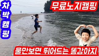 【캠핑카여행】 무료 노지 차박지에서 즐기는 해수욕 \u0026 게라면_독산해수욕장 리뷰 \u0026 해루질 결과물_르노 마스터 캠핑카 (2편)