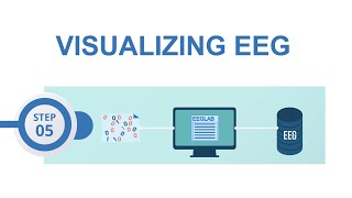 EEGLAB preprocessing #5: Visualizing data