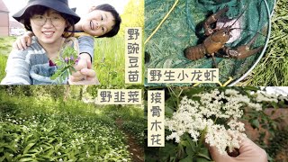 2021年终盘点——野菜！这一年在英国都摘过哪些？每一季都有期待，生活真美好～