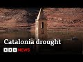 Spain’s Catalonia region in worst drought in decades - BBC News