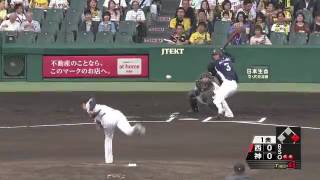 20170613阪神タイガースVS西武ライオンズ