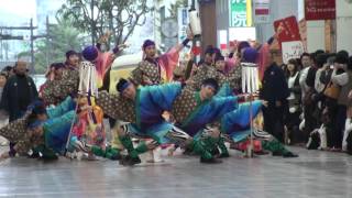 セントラルグループ踊り子隊　土佐のおきゃく　2016.3.6　帯屋町商店街