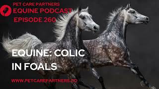 EP 260: Colic in Foals: Causes, Symptoms & Treatment | Pet Care Partners