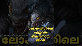 ലോകത്തിലെ ഏറ്റവും അപകടകാരി #newshorts #shortsfeed #shorts #newyoutubeshorts #facts #newfacts #new