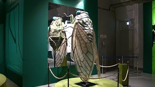 国立科学博物館　特別展「昆虫」　第1～2章