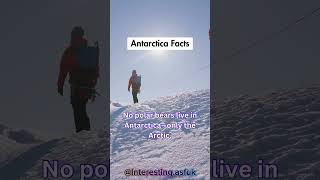 ⚠️Interesting facts about Antarctica you didn’t know‼️ #viralvideo #viralshorts #crazy #interesting