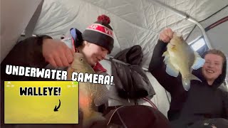 Ice Fishing With Under Water Camera Lake of the Woods!