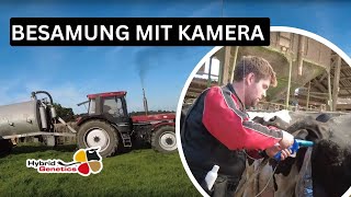 Kühe melken auf Pachtbetrieb mit Weidehaltung und Kreuzungszucht. #landwirtschaft #rinderzucht