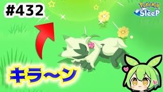 【睡眠リサーチ】＃432『今年３度目のキラ～ン』【ポケモンスリープ/pokemon sleep】【無課金ゴプラ勢】【ゆっくり実況ずんだもん】