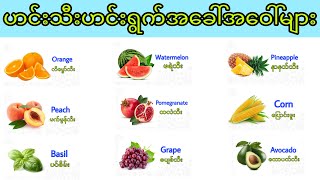 အသီးအနှံအခေါ်အဝေါ်အမည်များFruits and Vegetables vocabulary