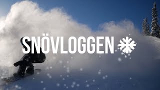 Häng med en dag i parken l SNÖVLOGG 17