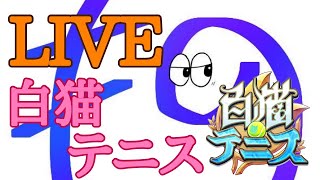 ほぼフレマと化すであろうタウンシングルス【白猫テニス】