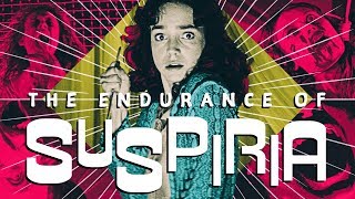 The Endurance of 'Suspiria'