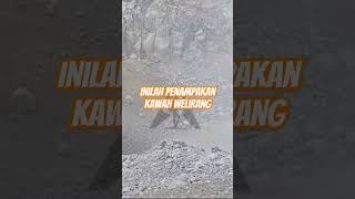 Inilah penampakan kawah gunung Welirang #kawah #gunungwelirang #pendakigunung #gunungberapi