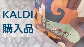 【KALDI】カルディ購入品｜人気の品からリピートまでご紹介｜実際に食べてみた