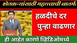 turmeric market : हळदीला मिळणार विक्रमी भाव, आजचे हळद भाव #हळदबाजार  turmeric rate