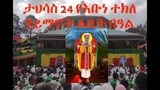 ታህሣሥ 24!!! እልልልልል... የአቡነ ተክለ ሃይማኖት ልደት በዓል | ከመርካቶ ዳግሚት ደብረ ሊባኖስ ደብረ አሚን አቡነ ተክለ ሃይማኖት ገዳም