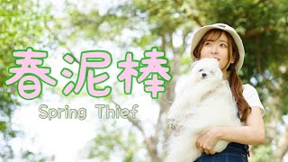 春泥棒 (Spring Thief) / 天城サリー (Sally Amaki) / ヨルシカ (Yorushika)【cover】