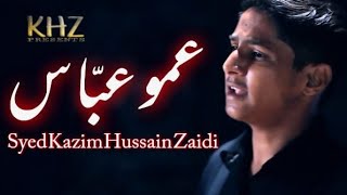Nohay 2017 | Ammu Abbas Ammu Abbas | Syed Kazim Hussain Zaidi 2017/1441