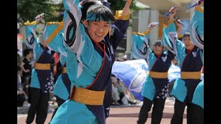 20180603湘南よさこい祭2018（横浜隼人高等学校レクリエーション部～颯爽～）【ＨＤ・原画４Ｋ】