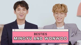 Seventeen's Mingyu And Wonwoo Reveal Details On Their Friendship | Besties On Be