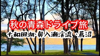 【青森県】青森旅③秋の青森ドライブ旅2日目前編　十和田湖   奥入瀬渓流　蔦沼