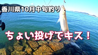 香川県10月中旬釣り　ちょい投げキス釣り！（ジギングおまけ画像あり）