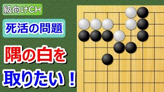 【囲碁問題】級向け・死活の問題（基本死活）