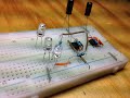 Traffic light LED circuit using 2 555 Timer IC on a breadboard