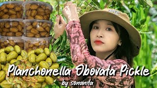 planchonella obovata pickle (របៀបធ្វើរំដេញ/ម្តេញ)