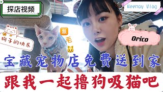 【宠物 探店】加拿大 温哥华 中文宠物店Orico 限时折扣！免费配送！Vancouver vlog Exploring pet store with me！