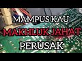 Ternyata makhluk ini yang menyebabkan tv rusak.