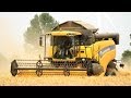 New Holland CX5080 and Ford 4600 | Harvesting grain | Graanoogst | Getreideernte | Steyr | 6140