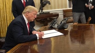Investigation into widespread voter fraud ordered despite...